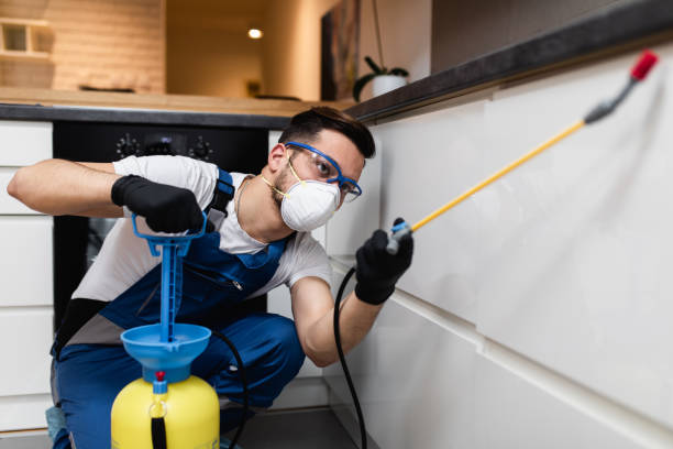 Best Pest Control Treatment  in Avondale Estates, GA