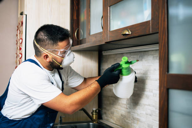 Best Pest Removal Services  in Avondale Estates, GA