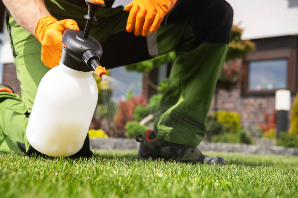 Best Termite Control Services  in Avondale Estates, GA
