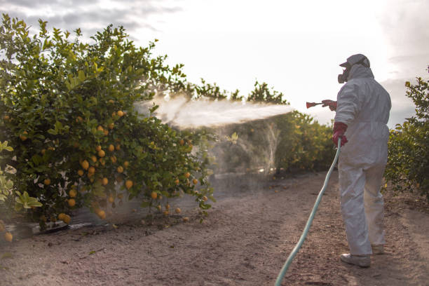 Best Pest Prevention Services  in Avondale Estates, GA