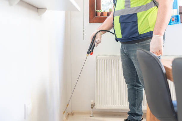 Best Wasp Removal Services  in Avondale Estates, GA