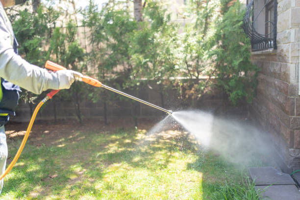 Best Mosquito Control Services  in Avondale Estates, GA