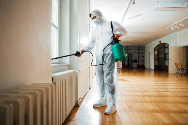 Wasp Removal Services in Avondale Estates, GA