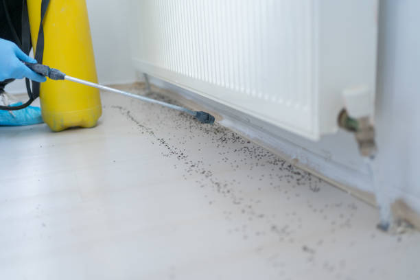 Pest Prevention Services in Avondale Estates, GA