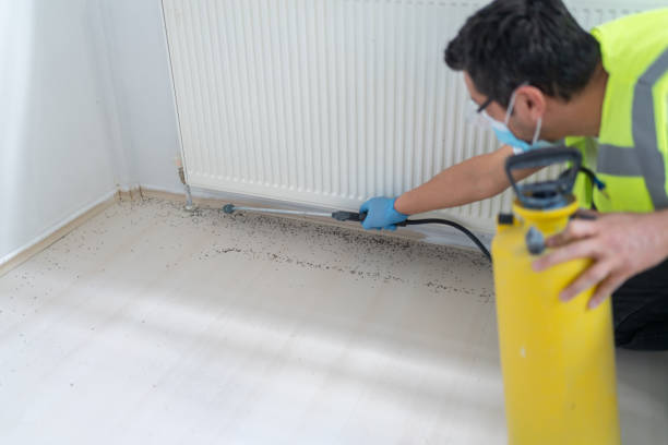 Best Bed Bug Extermination  in Avondale Estates, GA