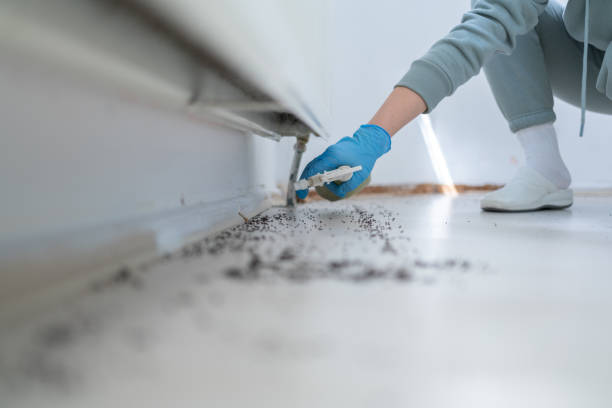Best Cockroach Control Services  in Avondale Estates, GA
